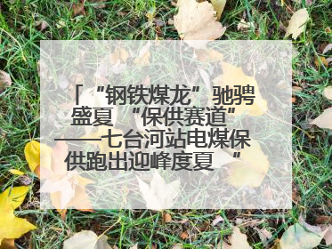 “钢铁煤龙”驰骋盛夏 “保供赛道”——七台河站电煤保供跑出迎峰度夏 “加速度”